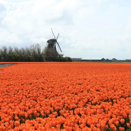 Lovely Holiday Within Cycling Distance Of The Dunes And The Beach! Julianadorp