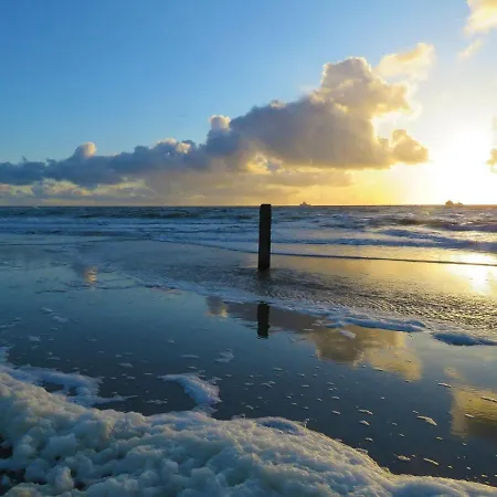 Lovely Holiday Within Cycling Distance Of The Dunes And The Beach!